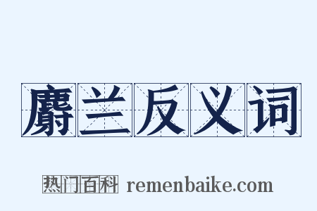 麝兰反义词是什么意思的图片